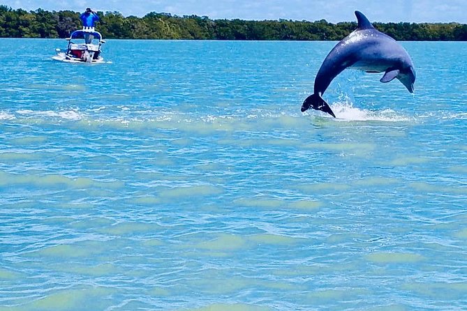 Backwater Adventure's CraigCat Tours of the 10,000 Islands - The tour feel: small group, lots of flexibility, real autonomy