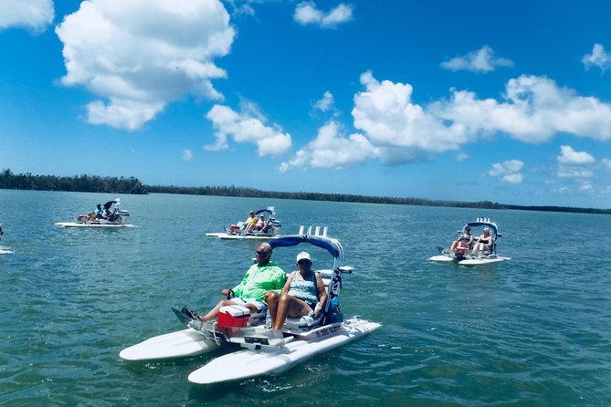 Backwater Adventure's CraigCat Tours of the 10,000 Islands - Price and value: $135 for a guided experience you control