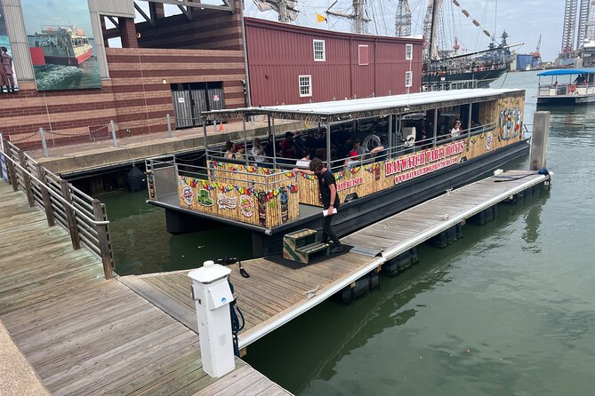 Baywatch Dolphin Tours - Pier 21 Galveston - Key highlights