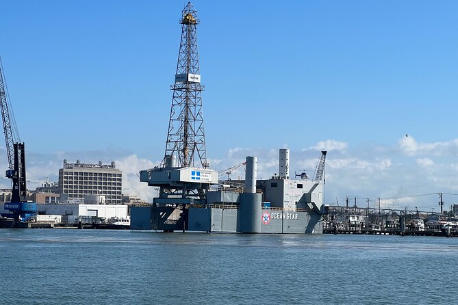 Baywatch Dolphin Tours - Pier 21 Galveston - Why This 45-Minute Dolphin Cruise Fits Galveston Days