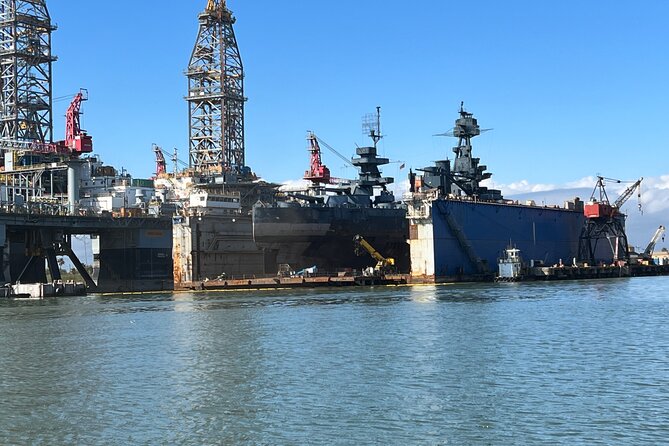 Baywatch Dolphin Tours - Pier 21 Galveston - Weather, Comfort, and When This Tour Is a Smart Move