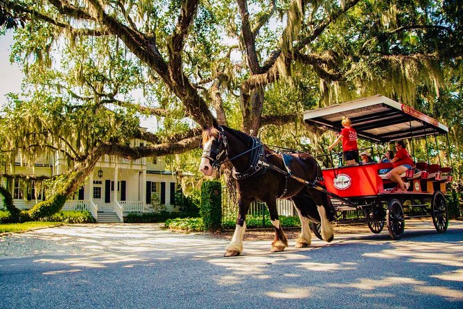Beaufort’s #1 Horse & Carriage History Tour - Key things that make this Beaufort carriage history tour worth your time
