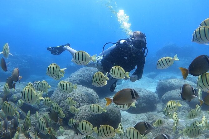 Beginner Scuba Diving Experience with Video Package in Honolulu - Why Magic Island Lagoon is the smart choice for your first scuba try