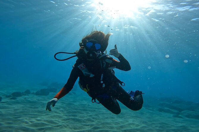 Beginner Scuba Diving Experience with Video Package in Honolulu - The included video package, and how to get the most from it