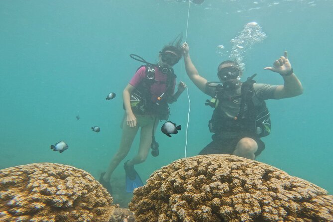 Beginner Scuba Diving Experience with Video Package in Honolulu - Who should book this intro scuba session in Honolulu