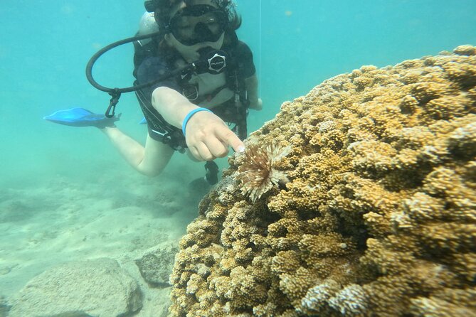 Beginner Scuba Diving Experience with Video Package in Honolulu - Gear lesson, ear pressure nerves, and how Kyle’s style sets people at ease