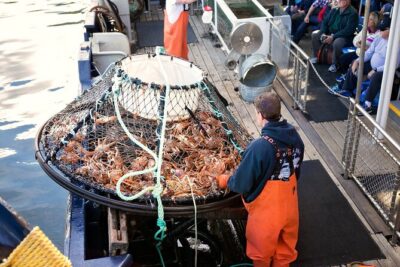 Bering Sea Crab Fisherman’s Tour from Ketchikan