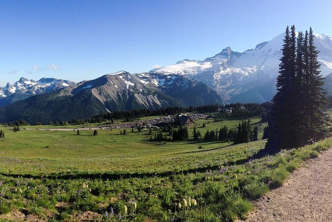 Best of Mount Rainier National Park from Seattle: All-Inclusive Small-Group Tour - Longmire Old-Growth Forest, Waterfalls, and Big-Mountain Views