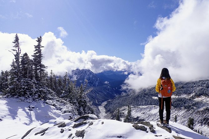 Best of Mount Rainier National Park from Seattle: All-Inclusive Small-Group Tour - Paradise Valley in Two Modes: Wild Berries in Summer, Snowshoe Solitude in Winter