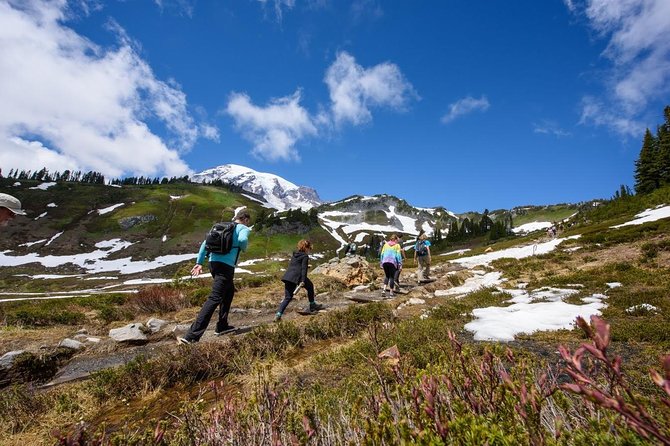 Best of Mount Rainier National Park from Seattle: All-Inclusive Small-Group Tour - Henry M. Jackson Visitor Center, Myrtle Falls, and Reflection Lakes