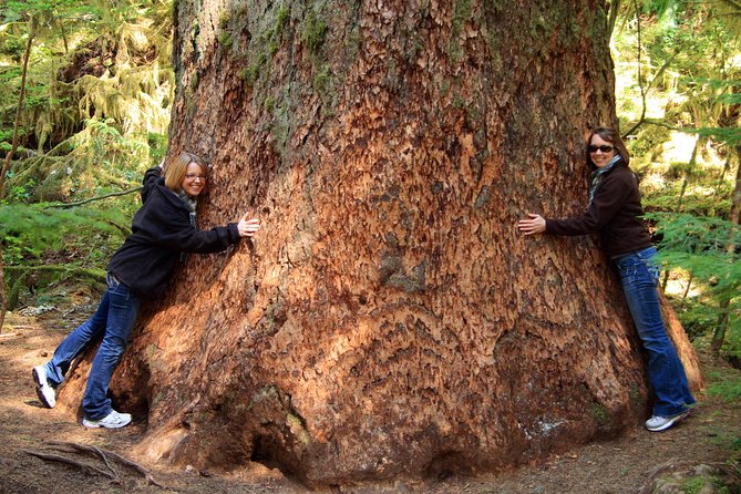Best of Olympic National Park from Seattle: All-Inclusive Small-Group Day Tour - From Seattle to Bainbridge to Olympic, the day starts with the water views