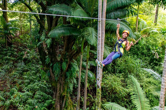 Big Island: 8-Zipline & Suspension Bridge Waterfall Adventure - Entering The Botanical World Zipline Course (And What It Actually Feels Like)