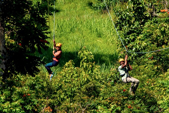 Big Island: 8-Zipline & Suspension Bridge Waterfall Adventure - Botanical World After the Last Zip: Gardens, Trails, and the Living Maze