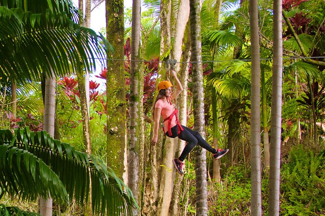 Big Island: 8-Zipline & Suspension Bridge Waterfall Adventure - Who Should Book This Zipline and Waterfall Adventure?