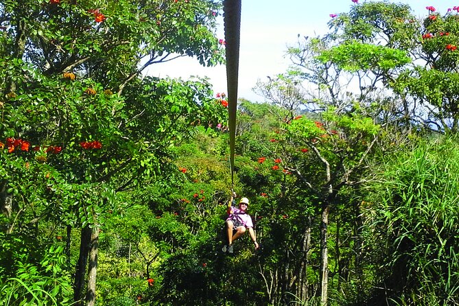 Big Island: 8-Zipline & Suspension Bridge Waterfall Adventure - Safety Gear and Body Requirements (So You Can Plan Confidently)