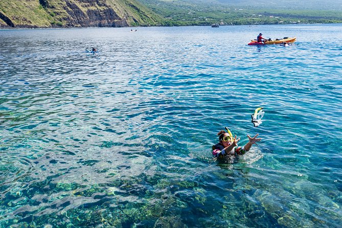 Big Island: Captain Cook Snorkel On A Power Catamaran With Lunch - Snorkeling at Captain Cook: Gear, Water Time, and What You’ll Actually See