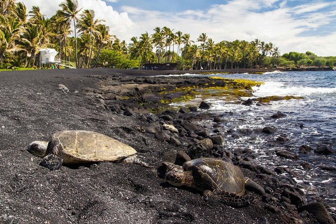 Big Island Highlights: Coffee, Volcano, Black Sands & Waterfall - Key Tour Details That Matter