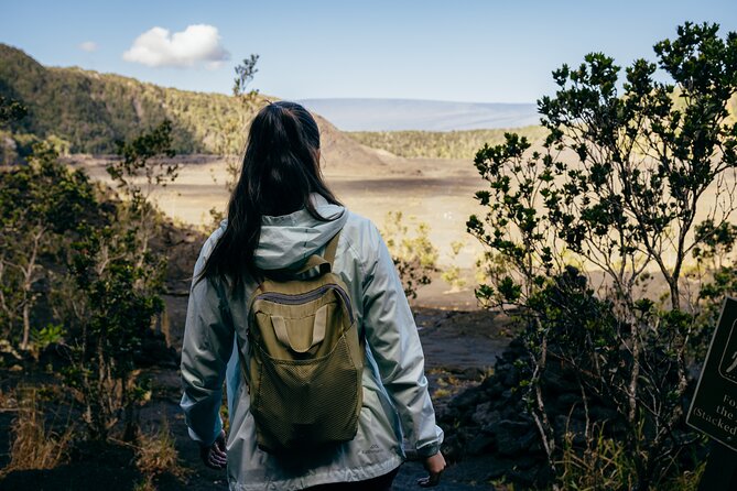 Big Island Highlights: Coffee, Volcano, Black Sands & Waterfall - Greenwell Farms Kona Coffee: Touring the Plantation and Tasting the Real Stuff