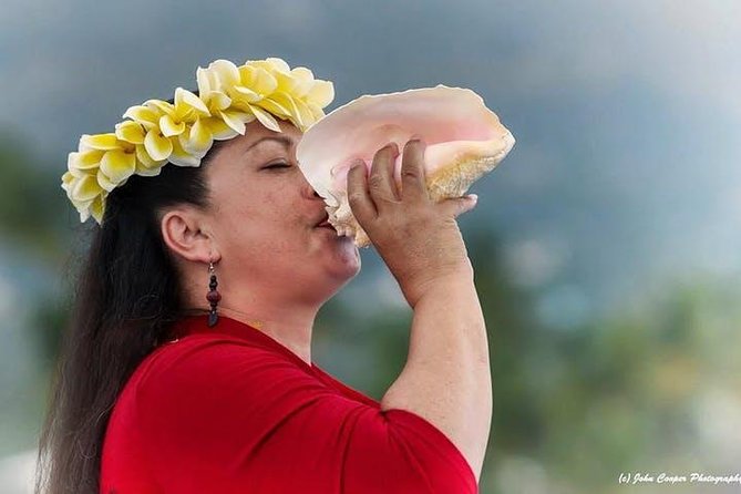 Big Island Historical Dinner Cruise to Kealakekua Bay - Why Kealakekua Bay turns a dinner cruise into a story night