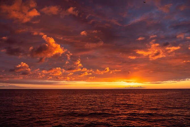 Big Island Historical Dinner Cruise to Kealakekua Bay - Food quality: solid local flavors plus dessert