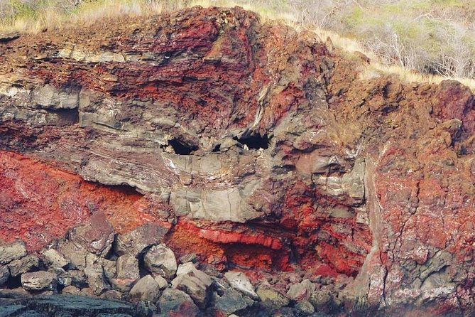 Big Island Historical Dinner Cruise to Kealakekua Bay - Sunset return and wildlife: the ocean often steals the show