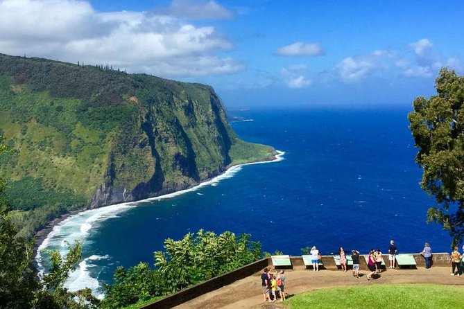 Big Island in a Day: Volcanoes Waterfalls Sightseeing and History - Punaluu Black Sand Beach and Sea Turtle Scanning, What to Expect