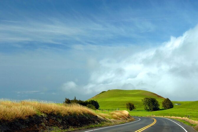Big Island Kohala Canopy Zipline Adventure - Key highlights worth knowing