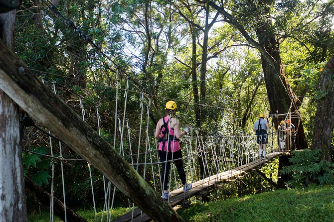 Big Island Kohala Canopy Zipline Adventure - What the tour actually feels like once you get to Kohala