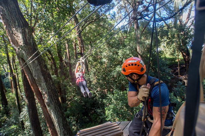 Big Island Kohala Canopy Zipline Adventure - Photos and the small extras that make it memorable