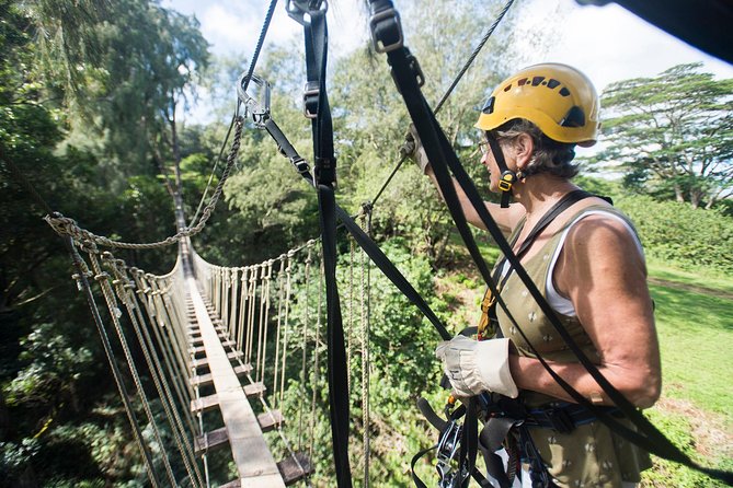 Big Island Kohala Canopy Zipline Adventure - Where you meet near Hawi, and how to plan your timing