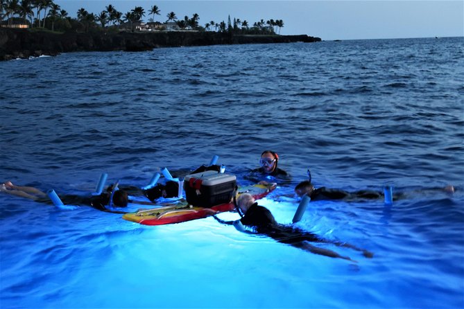 Big Island: Kona Manta Ray Snorkel Tour in Keauhou Harbor - Price and Value: What $25 Gets You, and Where Costs Can Add Up