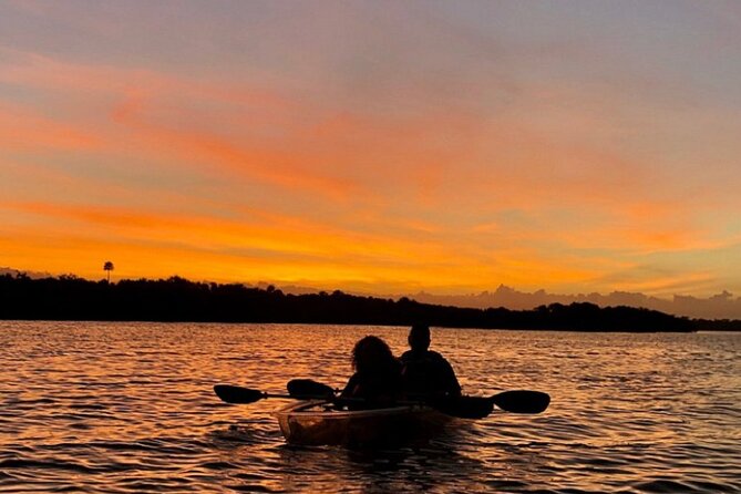 Bioluminescence Kayak Tour - Dinoflagellates vs Comb Jellies, Choosing the Right Month for the Glow