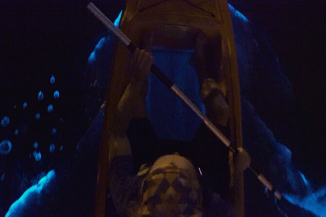 Bioluminescence Kayak Tour - What You’re Likely to See, Manatees, Dolphins, and Glow-Triggered Life