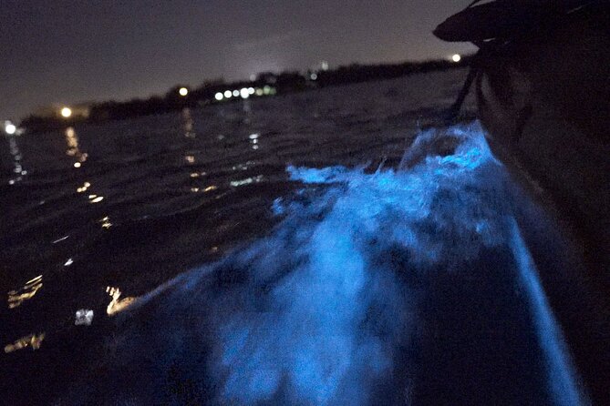 Bioluminescence Kayak Tour - Guides Matter More Than You Think, and Names Like Matt and Zoey Show Up Often
