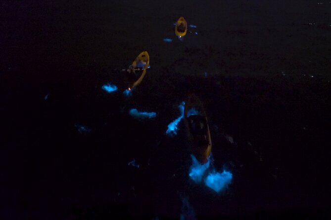 Bioluminescence Kayak Tour - Wear for Water and Cold, Not for Looking Cute