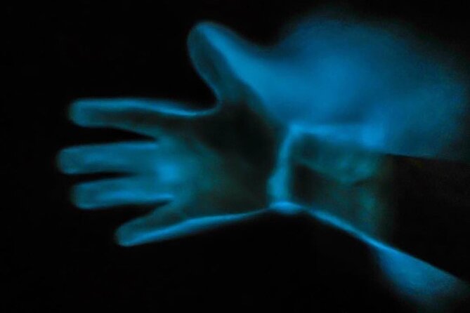 Bioluminescence Kayak Tour - Small Group Size and Safety, What the PFD and Safety Light Actually Mean