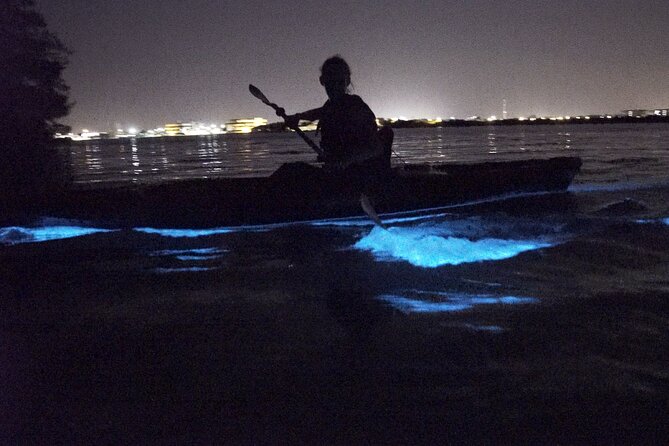 Bioluminescence Kayak Tour - The 2-Hour Route, From Kiwanis Island Park to a Starry Lagoon