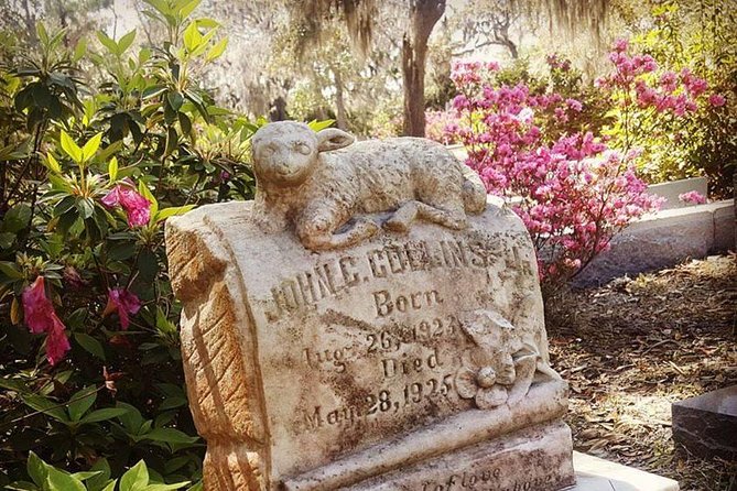 Bonaventure Cemetery Scenic History Art Symbols and Film Tour - Midnight in the Garden of Good and Evil Connections