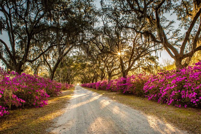 Bonaventure Cemetery & Wormsloe State Historic Site Tour - Lunch Break: A Real Stopping Point, With Real Choice