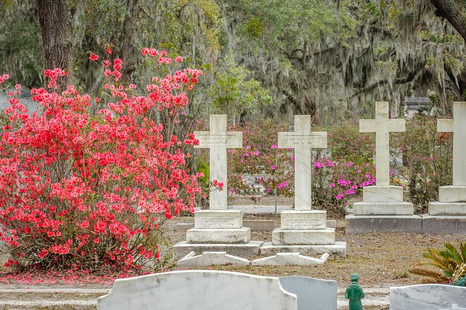 Bonaventure Cemetery & Wormsloe State Historic Site Tour - Byrd Cookie Company Stop: The Sweet Finale That Still Feels Local