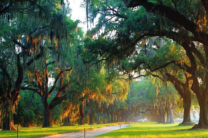 Boone Hall Plantation All-Access Admission Ticket - Boone Hall All-Access: Why This Program Feels Like More Than a Stop on Your Map