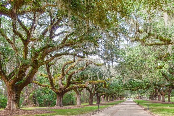 Boone Hall Plantation All-Access Admission Ticket - Exploring The Gullah Culture Live Presentation: The Included Program Many People Come For