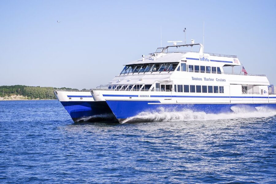 Boston: City Cruises Whale Watching Cruise - From Long Wharf to the Whale Zone, fast and comfortable