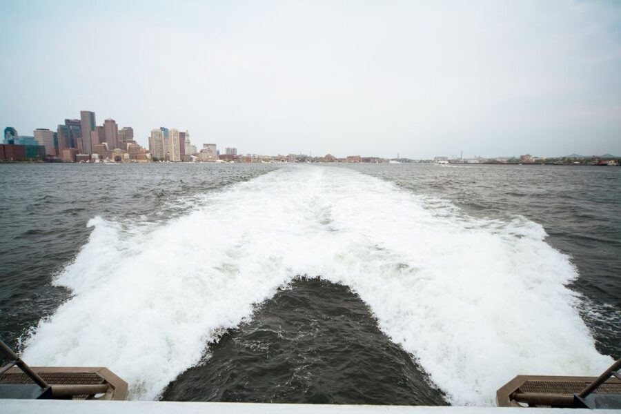 Boston: City Cruises Whale Watching Cruise - Naturalists from the New England Aquarium, and what they help you notice