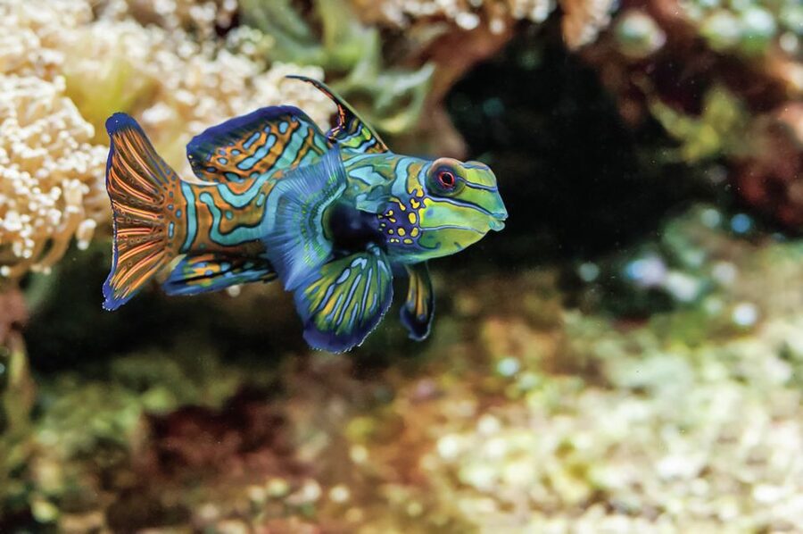 Boston: New England Aquarium Entry + Optional Simons Theatre - A Practical 1-Day Flow (So You Don’t Feel Rushed)