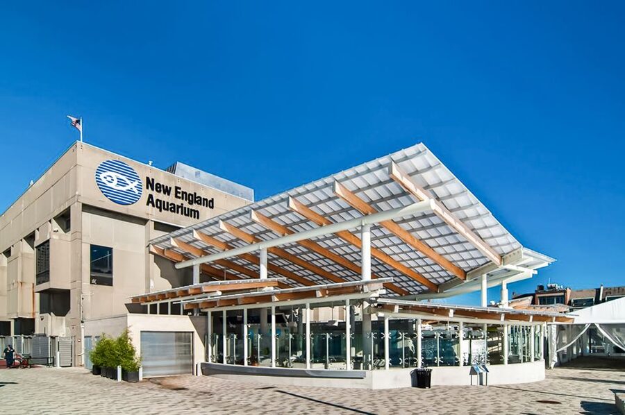 Boston: New England Aquarium Skip-the-Line Entry Ticket - Skip-the-line entry that actually saves time
