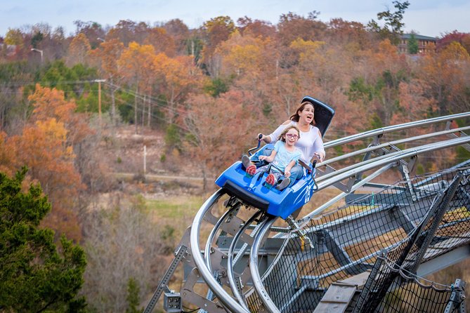 Branson Alpine Mountain Coaster Ticket - Price and Value: Is $25.98 Worth It?