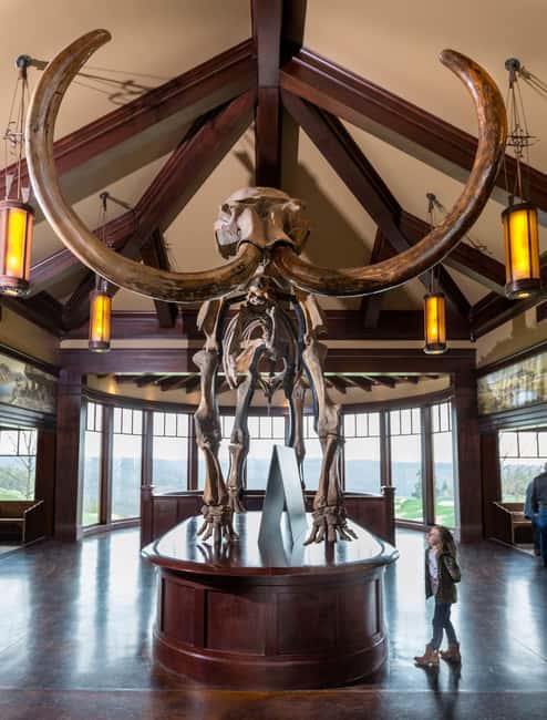 Branson: Top of the Rock Ozarks Heritage Preserve - Ancient Ozarks Natural History Museum: 35,000 square feet you should not rush