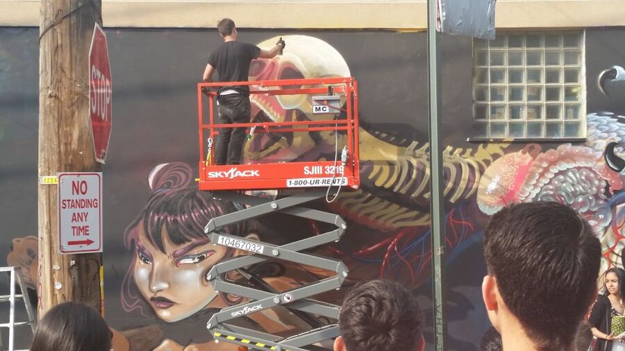 Brooklyn: Bushwick Street Art Walking Tour - Practical Tips: Where to Stand, What to Bring, and How Not to Miss the Details