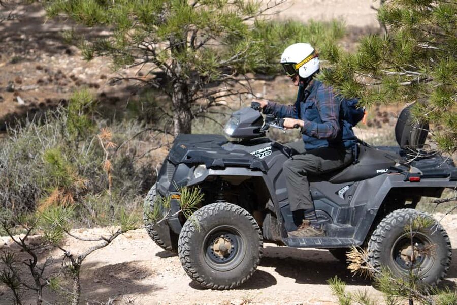 Bryce Canyon City Guided ATV/RZR Tour - The Route: Ponderosa Pines, Hidden Trails, and a Bryce Rim View